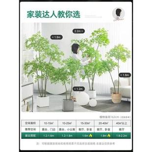 速发绿植南天竹饰植物盆栽客厅装假摆件高端轻摆假花花奢设