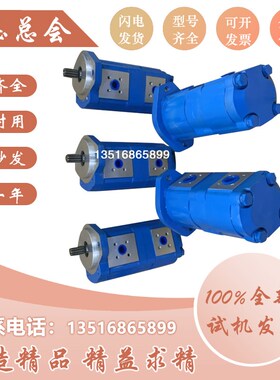 速发泉城济南齿轮泵GJ2100-2080-2050-80-2压2-2040-202液0泵