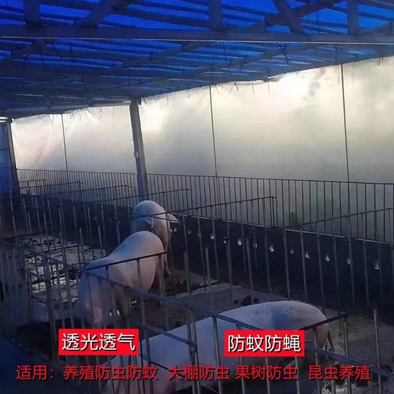 养殖场厚蚊果防n蝇网养猪场加防蔬菜大棚网园防鸟