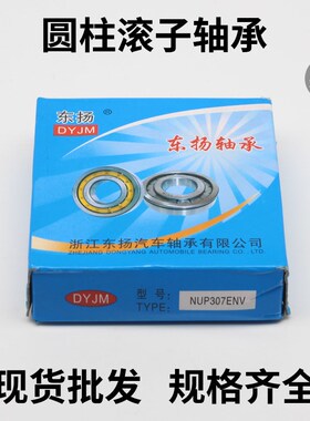 圆柱滚子轴承NJ304 305 306 307 308 309 310 311 312 313 314 EM