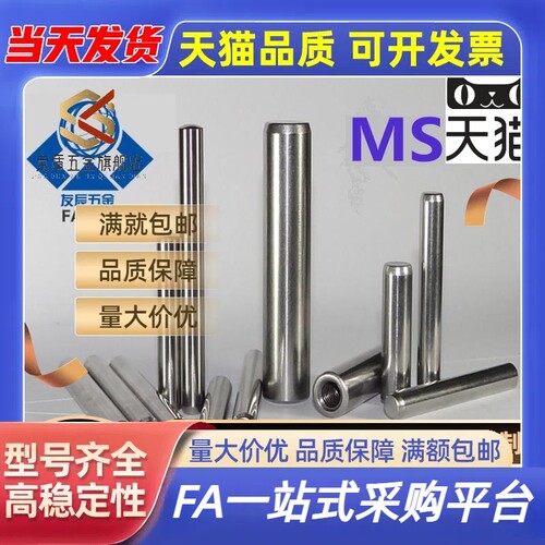 正公差内螺纹定位销MSTP12/13-15/20/25/30/35/40/50/60/70/80/90