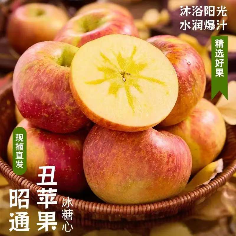 产地直发，品质保证