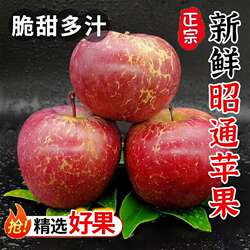 正宗云南昭通苹果丑苹果冰糖心红富士脆甜多汁新鲜水果5斤礼盒