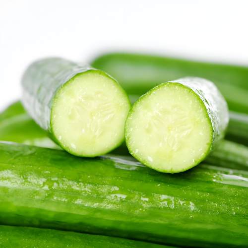 2包方震黄瓜种子四季播种阳台盆