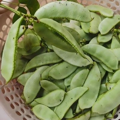 蔬菜种子夏季红边紫边眉豆种籽