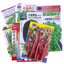 彩包育种香菜小葱白菜菠菜大全 播原装 蔬菜种子菜种籽原装 四季