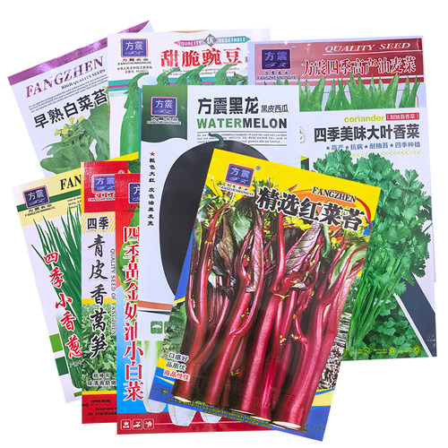 蔬菜种子大全四季播种香菜葱白菜