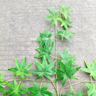 仿真绿枫叶仿真树枝树叶塑料植物假枫叶装饰绿植工程造Z景鸡爪槭