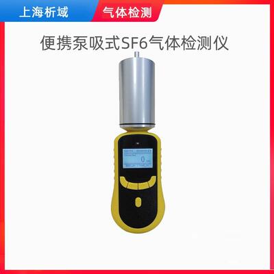 上海析域SKY2000-XY-SF6便携泵吸式六氟化硫气体检测仪SF6分析仪
