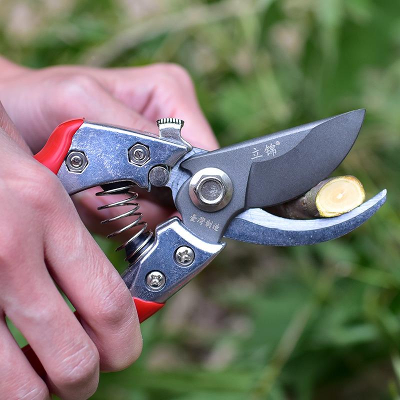 台湾进口SK5钢修枝剪园林果树剪刀粗枝花剪省力树枝修花园艺剪刀