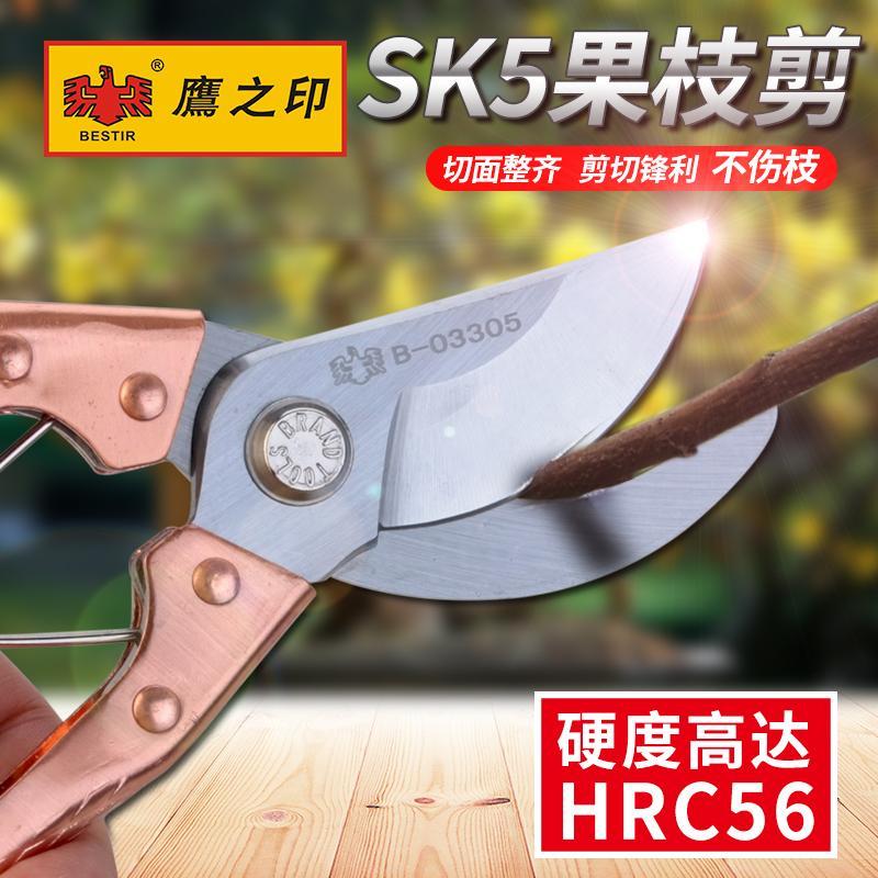 鹰之印 修剪树枝剪刀花枝修剪果枝剪修花剪园林园艺园丁修枝剪刀