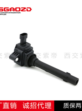 10130332050传祺GM8/GS7/GS8/M8/4B20J1 2.0T点火线圈 F01R00A131