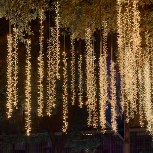 led鞭炮流星灯户外庭院大树上挂灯亮化装饰彩灯亮化造景布置串灯