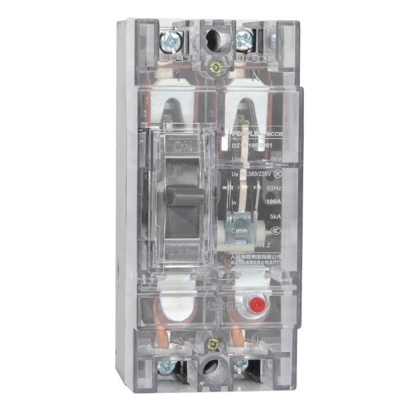 人民电器DZ15断路器空气开关w短路过载保护塑壳2901/63A2P透明款