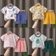 套装 童装 纯棉夏季 宝宝夏装 儿童短袖 服装 新款 T恤衣服男童宝宝短裤