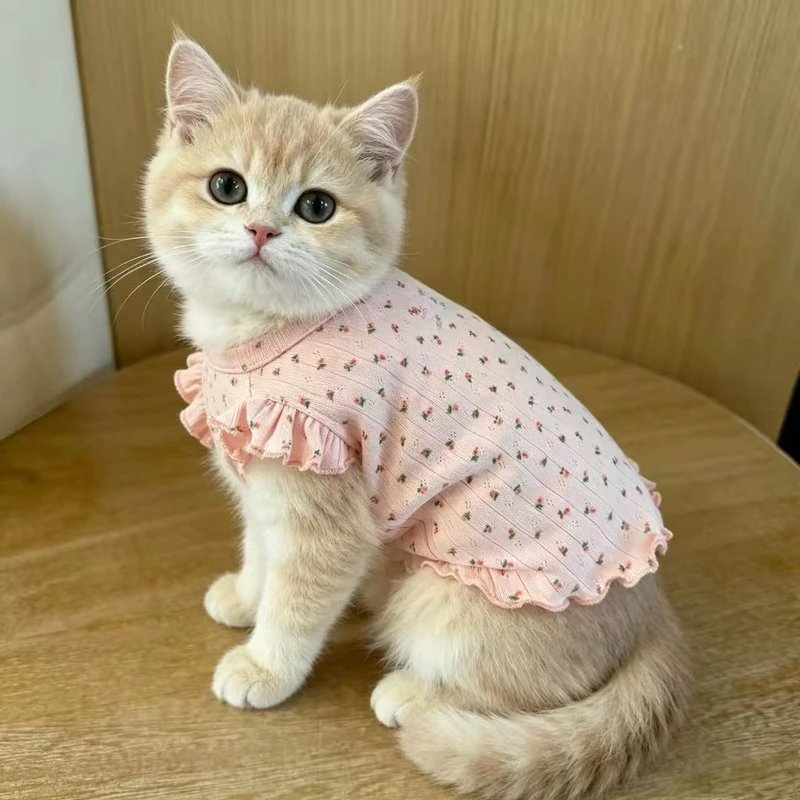 猫咪衣服秋季薄款飞袖小碎花背心金渐层布偶猫幼猫宠物狗狗防掉毛