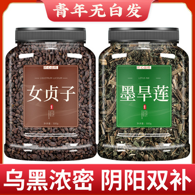 女贞子旱莲草中药墨和真茶