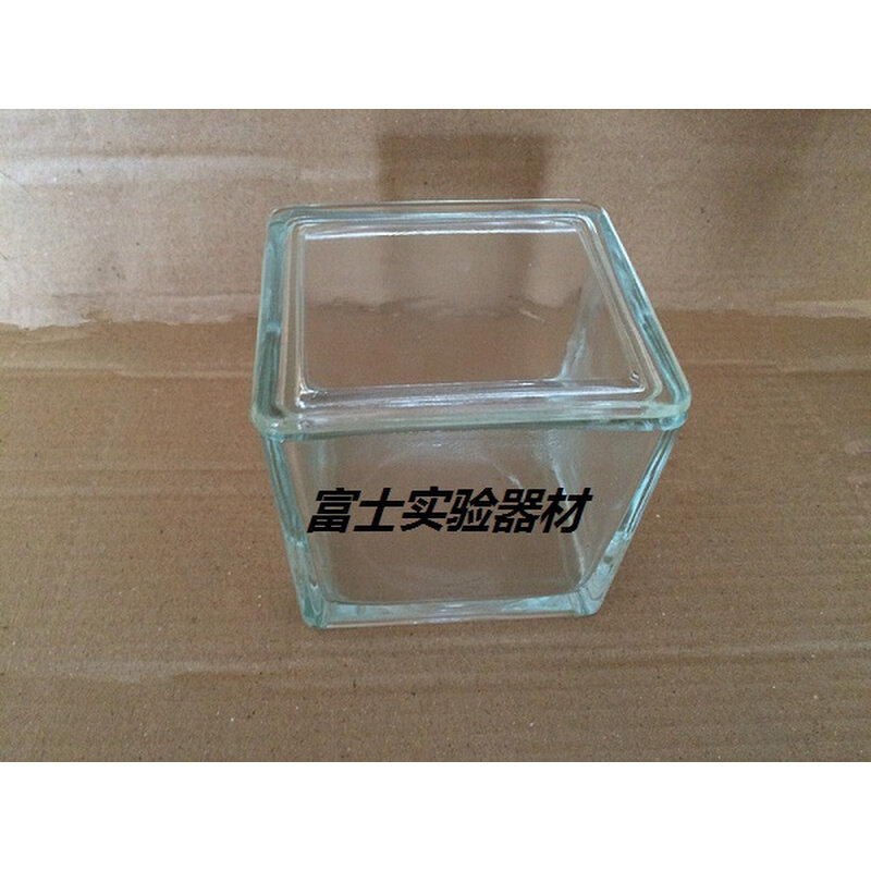 30片装方形带方形盖玻璃染色缸