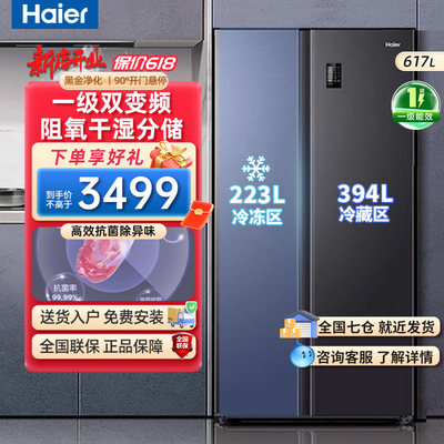 海尔双开门大冷冻冰箱617升变频