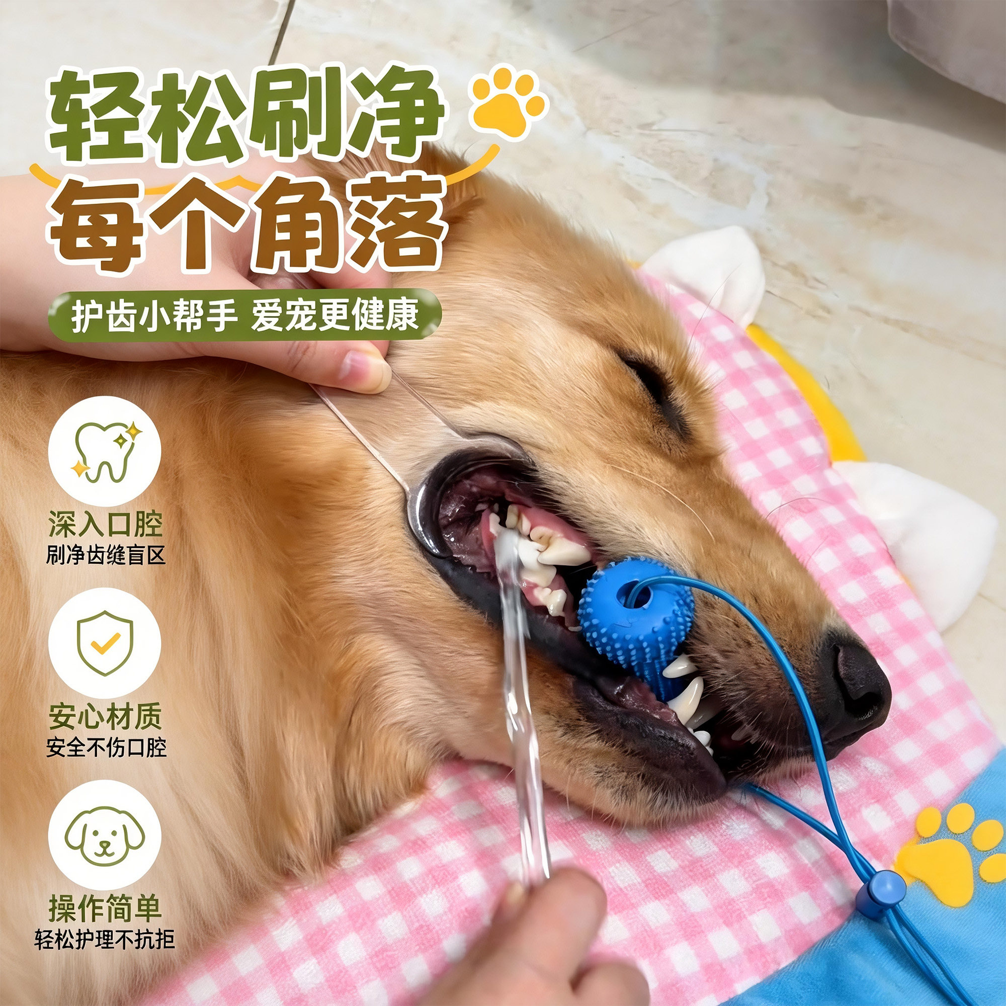 狗狗刷牙辅助神器清洁辅助固定器图片