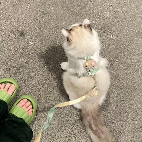 兔子橘猫放挣脱工字可调节布偶