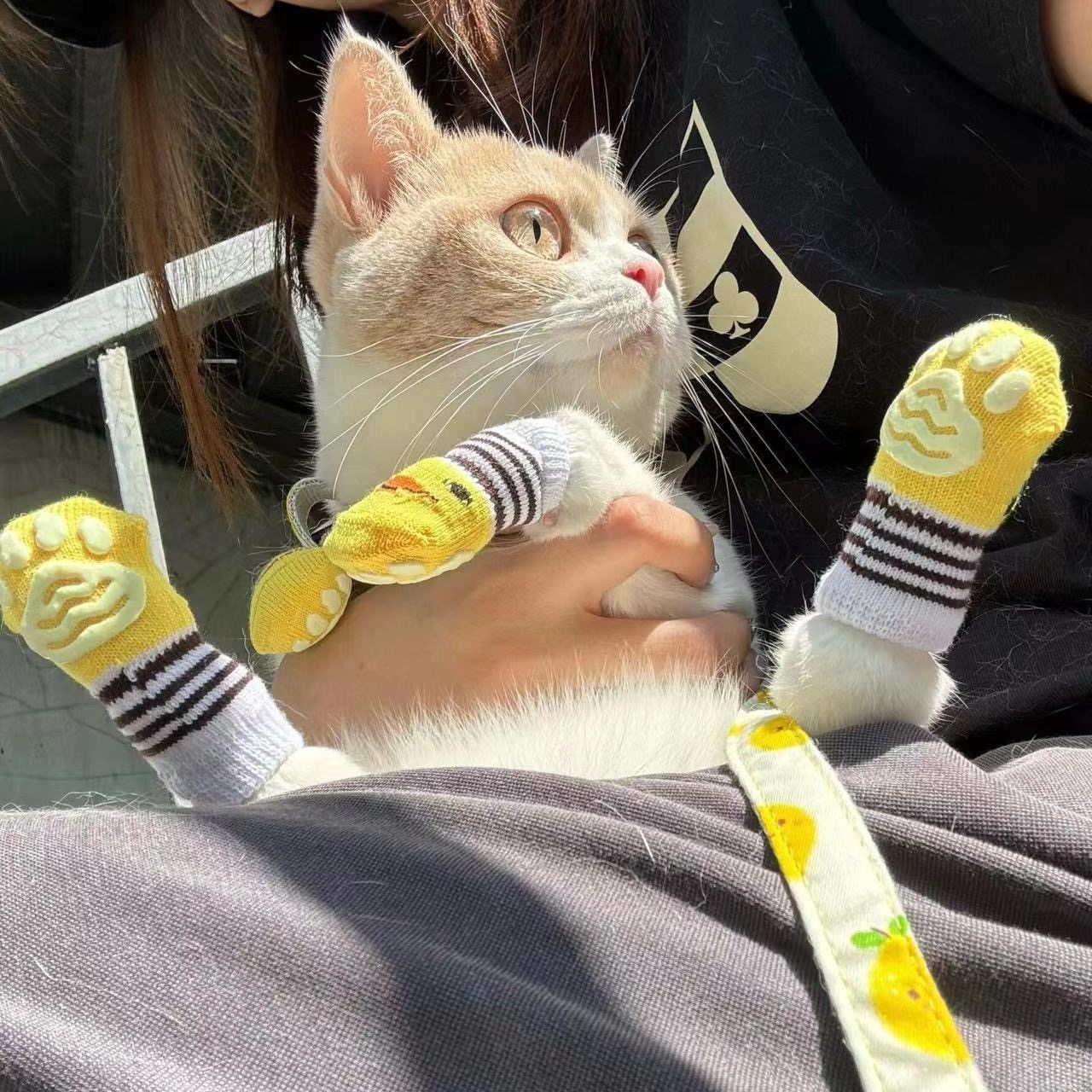 猫咪袜子狗狗可爱卡通关节护膝