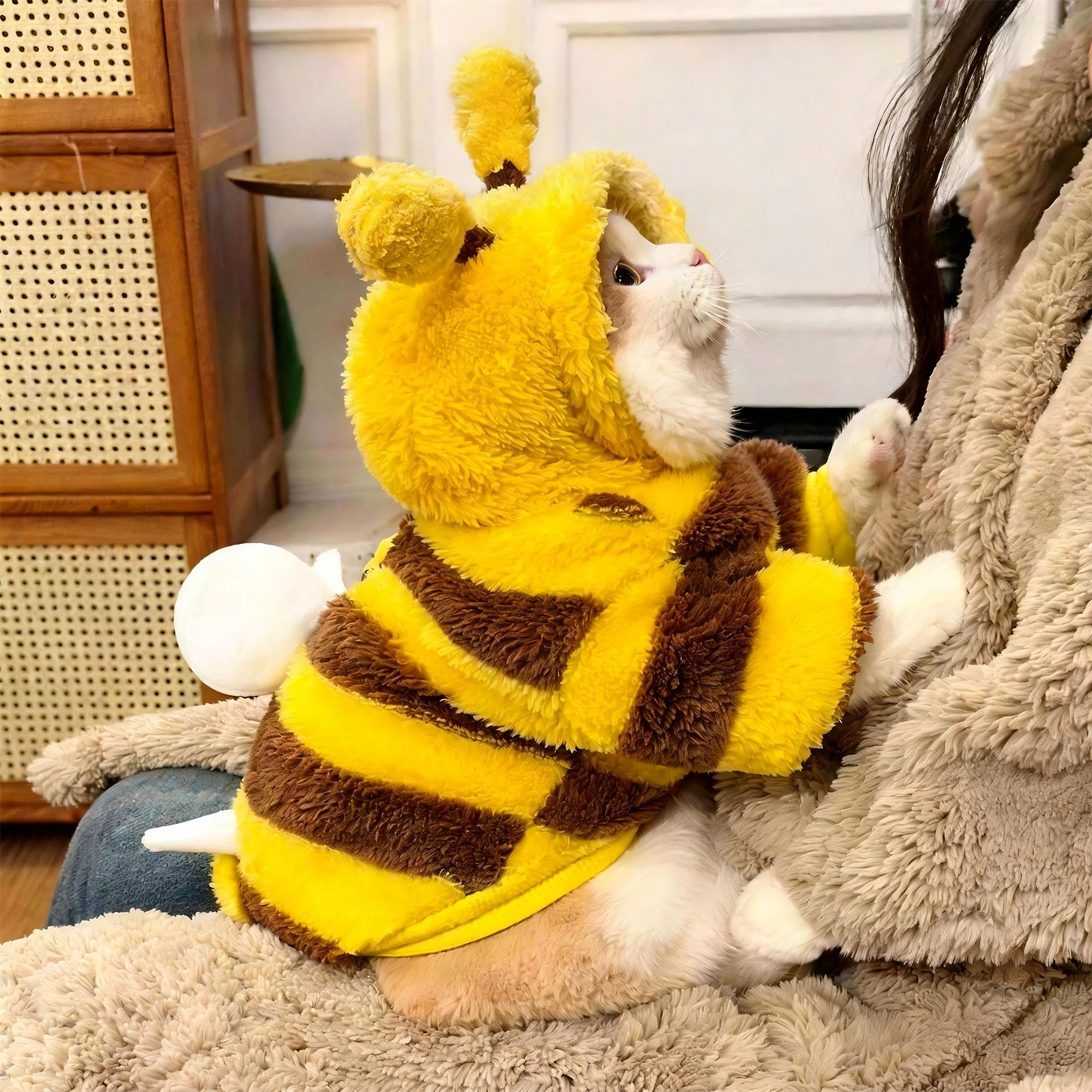 猫咪衣服秋冬保暖小蜜蜂狗狗绒衣
