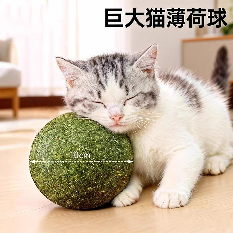 猫玩具超大猫薄荷球小猫逗猫棒猫猫自嗨解闷神器猫咪磨牙宠物用品,宠物/宠物食品及用品,逗猫棒,淘宝优惠券,粉丝福利购,淘宝优惠卷