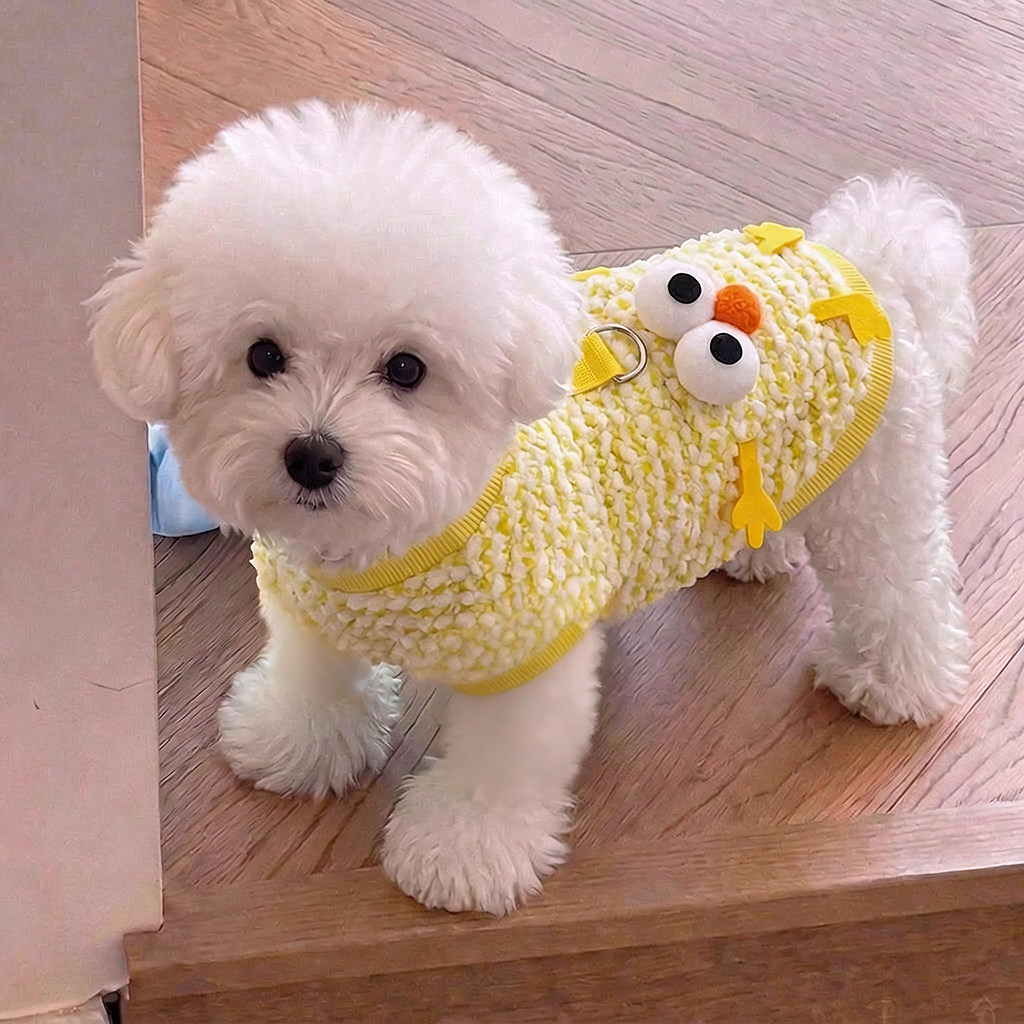 狗狗衣服秋冬款加厚加绒背心保暖防掉毛泰迪比熊中小型犬猫咪马甲