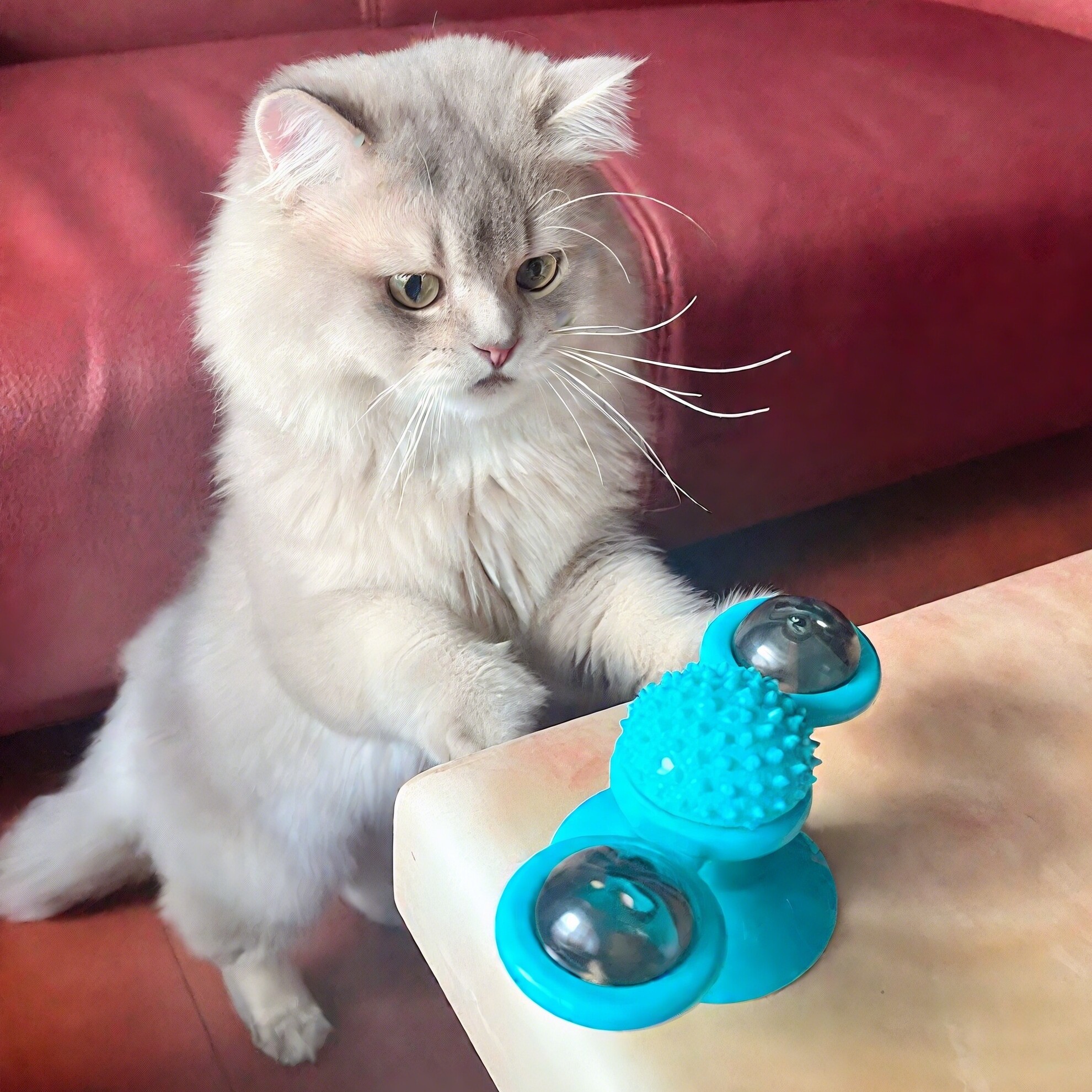 猫玩具吸盘旋转小风车猫薄荷球蹭痒器逗猫棒自嗨解闷磨牙宠物用品,宠物/宠物食品及用品,逗猫棒,淘宝优惠券,粉丝福利购,淘宝优惠卷