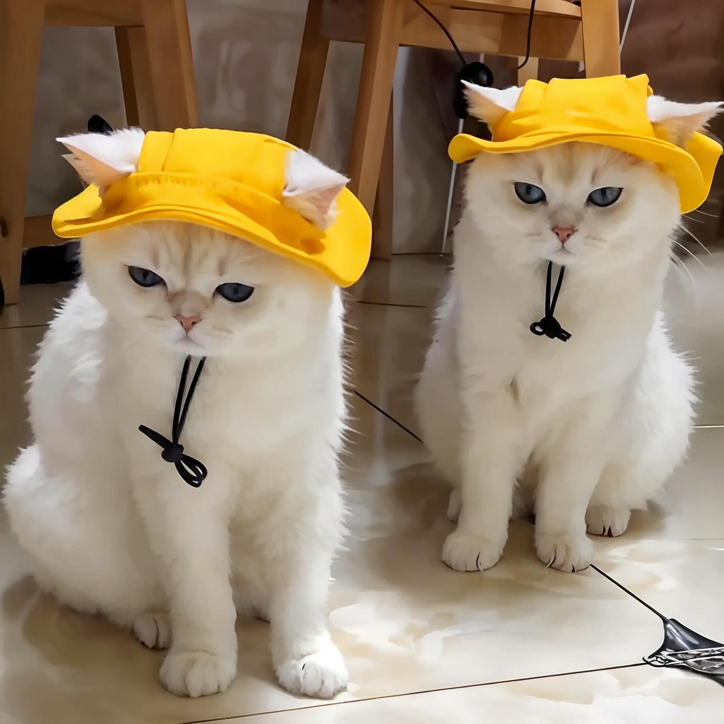 猫咪帽子宠物头套夏季防晒遮阳帽