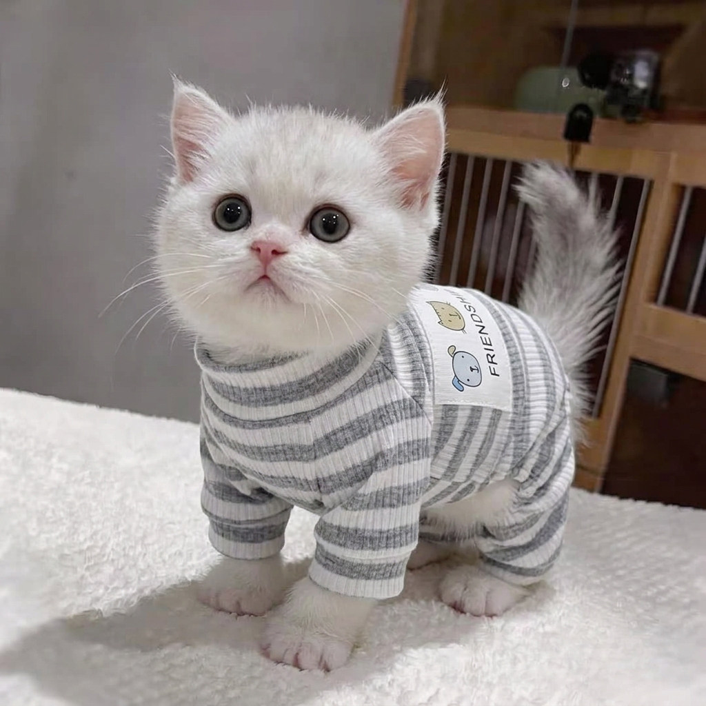 猫咪衣服春秋连体睡衣狗狗四脚衣