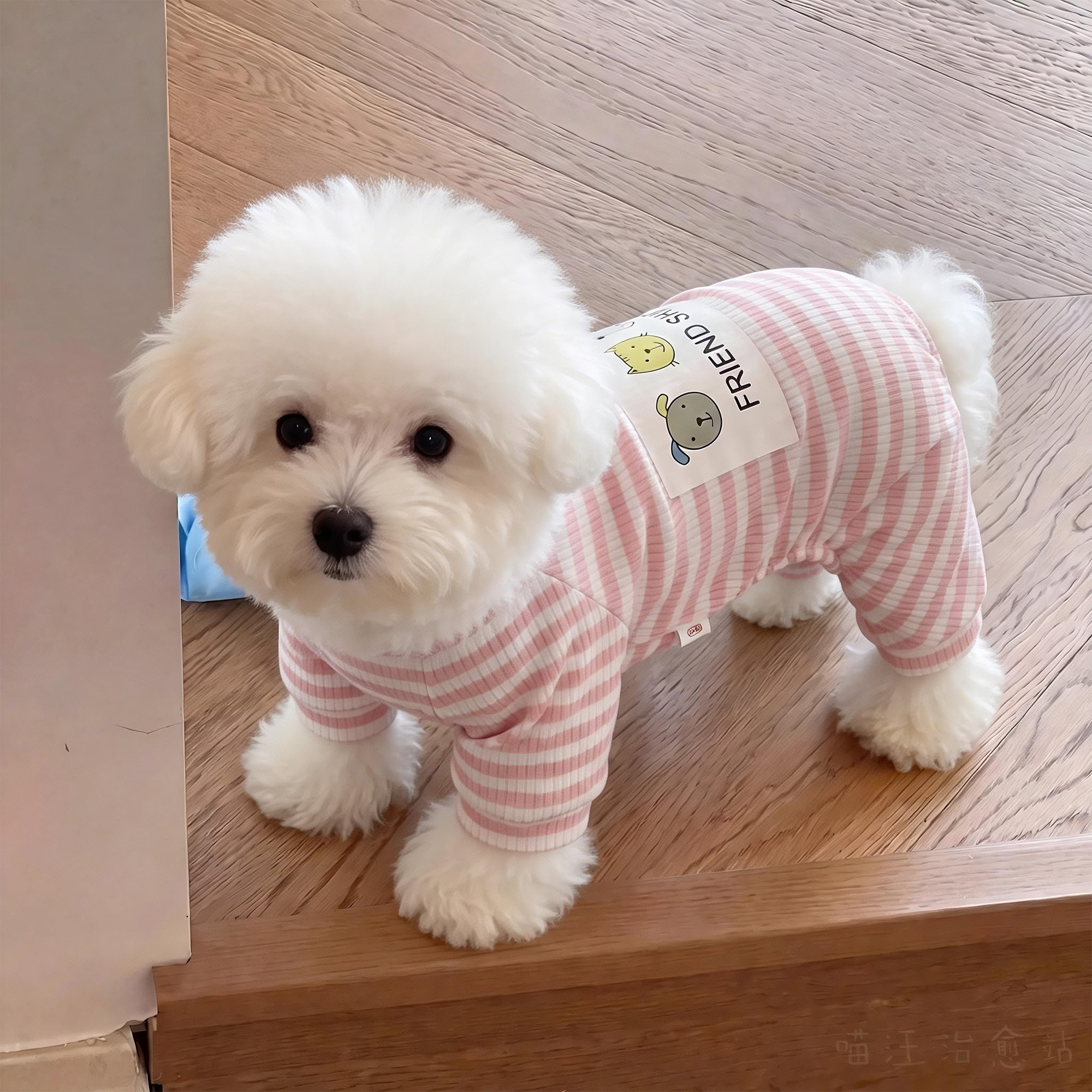 狗狗衣服四脚衣春秋款猫咪睡衣