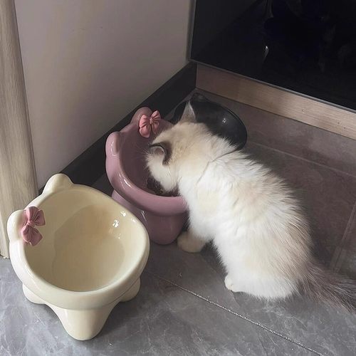 猫碗狗碗陶瓷猫食盆喝水猫粮罐头
