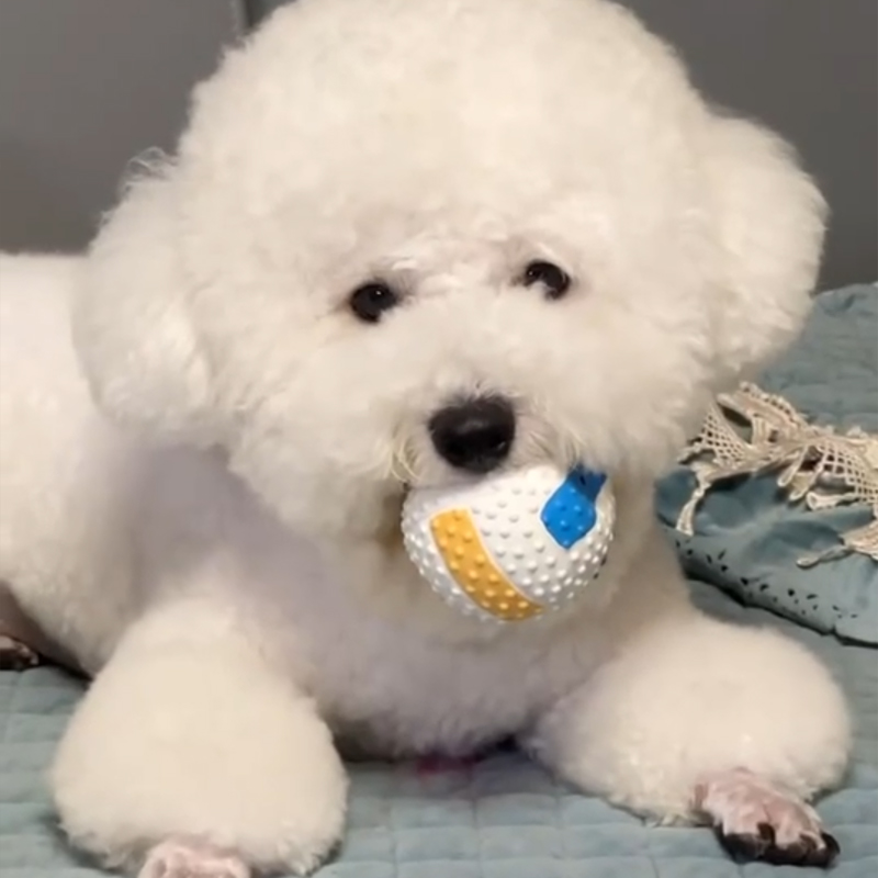 狗狗發聲排球耐咬磨牙寵物用品