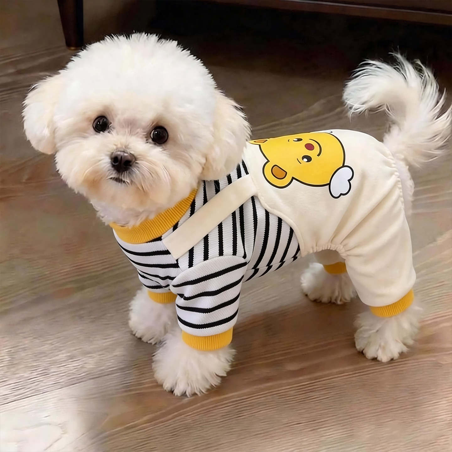 狗狗衣服春秋薄款可牵引四脚背带裤宠物泰迪比熊防掉毛小型犬服装