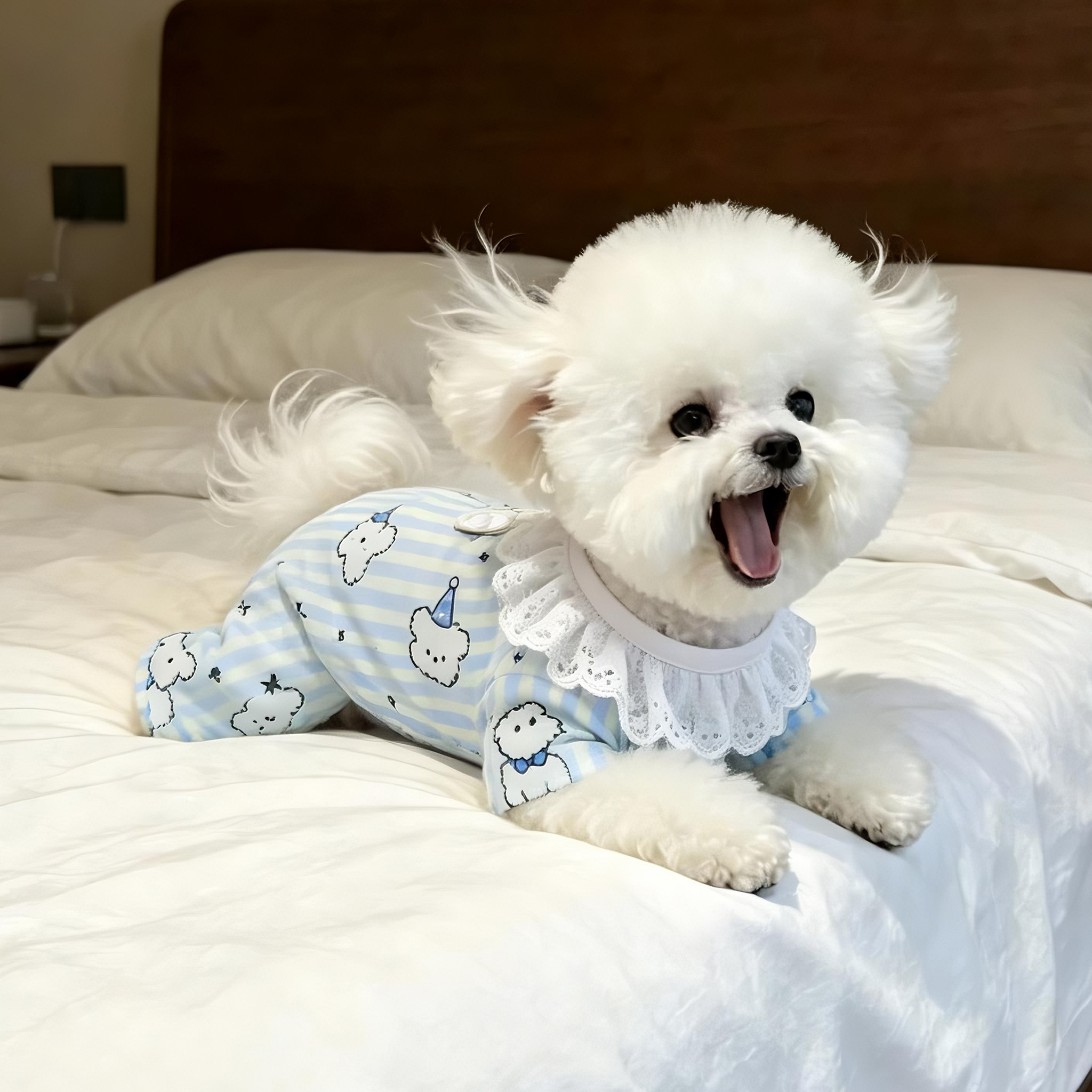 狗狗衣服春夏季薄款全棉包肚衣