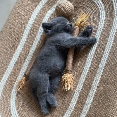 猫玩具木天蓼自嗨解闷磨牙棒