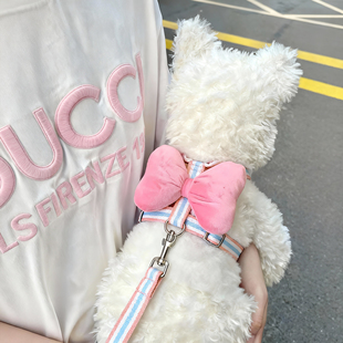 狗狗牵引绳可爱蝴蝶结工字胸背可调节防挣脱外出中小型犬遛猫链子