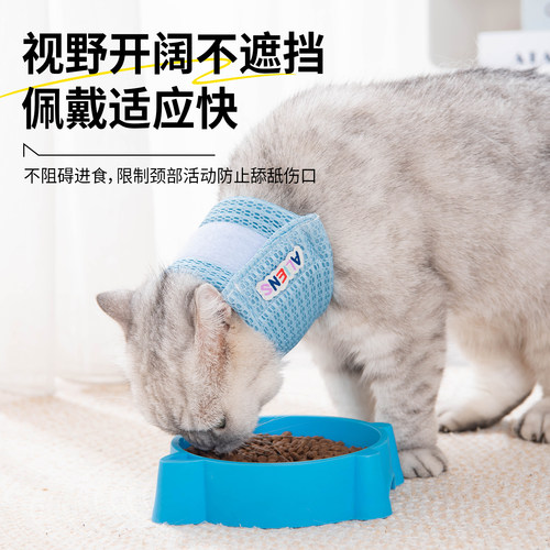 宠物伊丽莎白圈狗狗猫咪脖圈颈椎