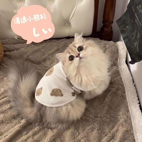 猫咪衣服纯棉无袖开衫春夏季