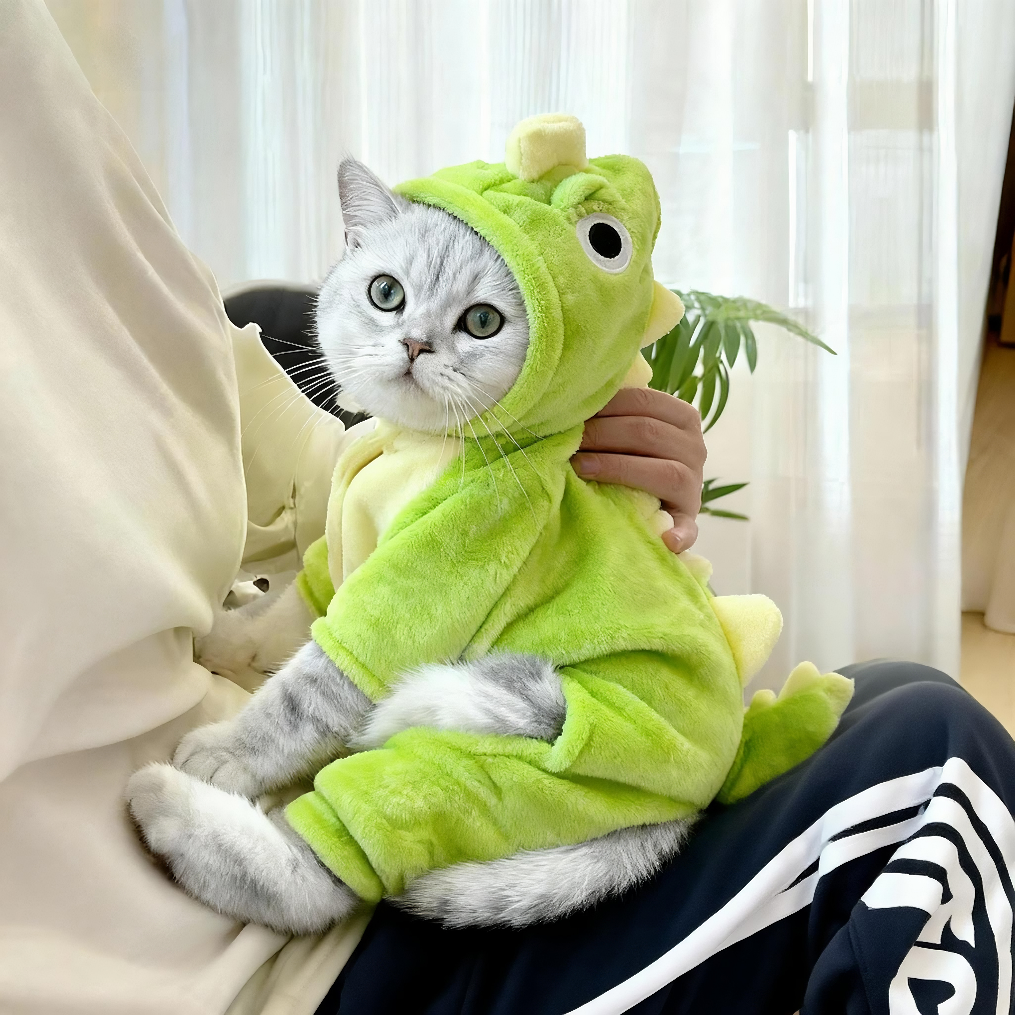 猫咪衣服秋冬款狗狗可牵引小恐龙