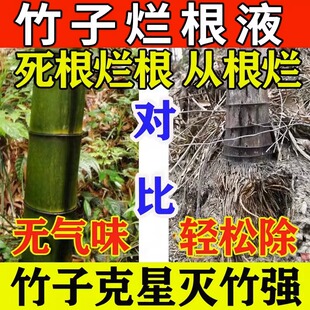 极速灭竹子的药竹根连根烂灭竹王烂根粉剂杀竹烂T根药专用强力灭
