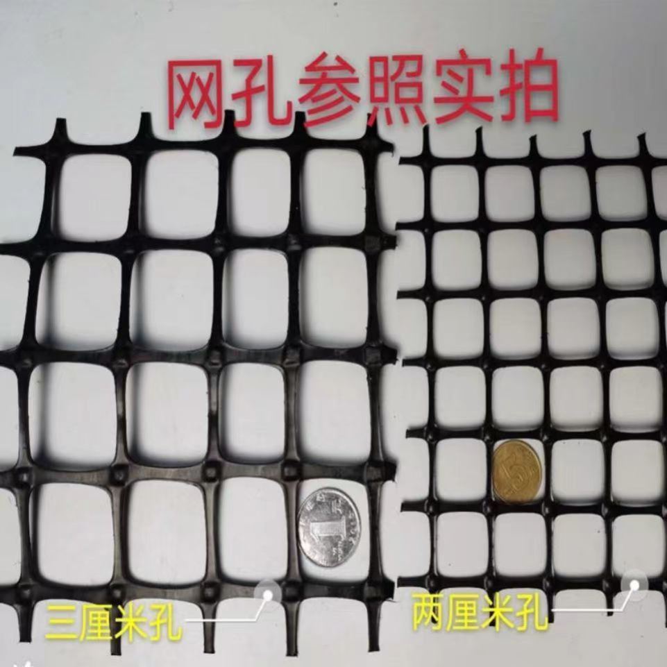 极速加厚养殖h鸡鸭鹅塑料网玉米网果园圈地围栏菜地栅栏鱼塘隔