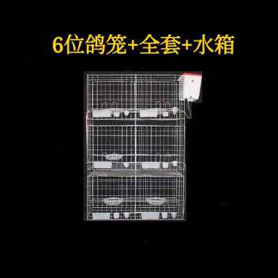 极速加粗12位16位鸽子笼养殖笼大型超大三层信鸽种鸽Y配对笼肉鸽