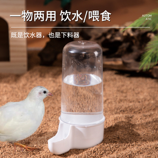 极速芦丁鸡喂食器防刨食亚克力透明自动喂水器P雏鸡小鸡水碗食盆