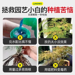 极速文竹营养液免稀释肥s料专用肥家用盆栽养花植物通用花肥土培