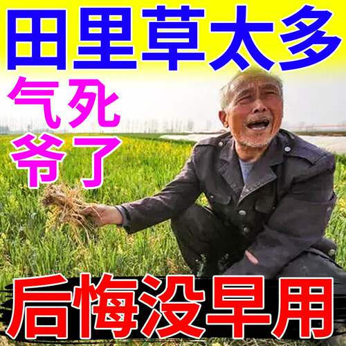 新品小麦田除草h专用剂苗后除草烂跟剂安全型不伤麦苗禾阔双除全