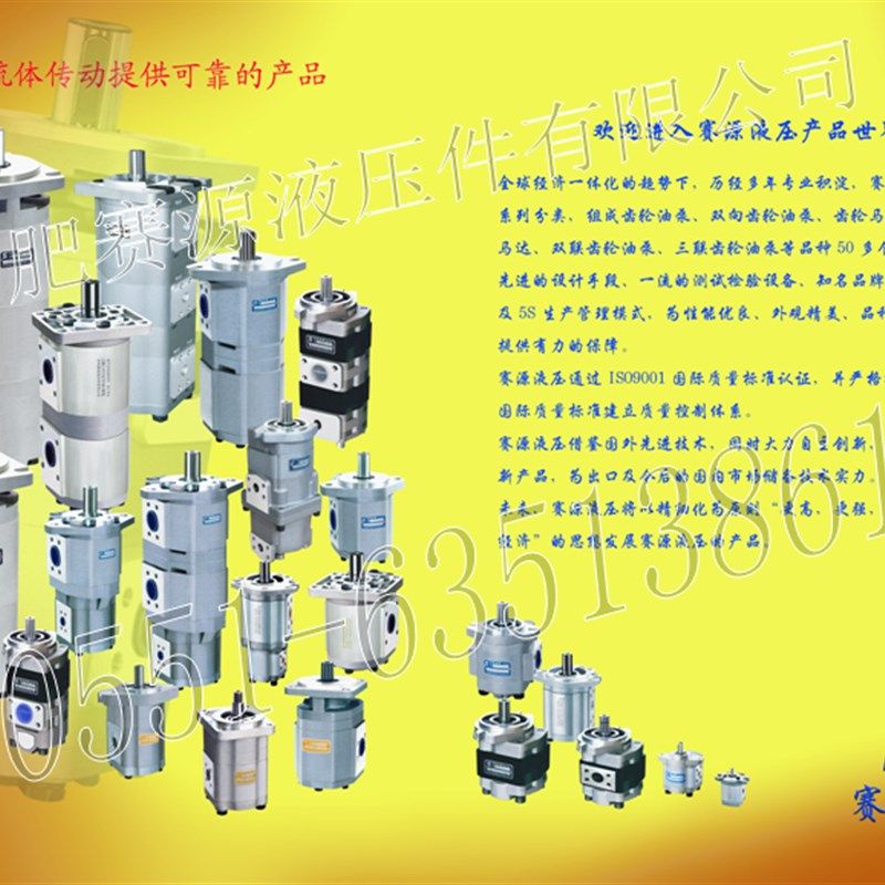 极速合肥赛源液压齿轮马达CMFDA-F306F308F310SE316E320