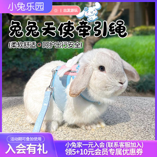 新品兔子牵引绳防挣脱兔兔外出绳一体式牵引O绳可调节舒适透气兔